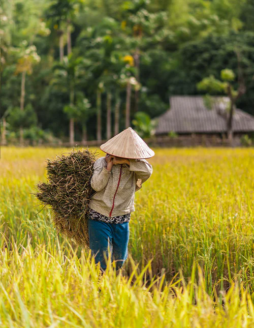 Uitzicht over Ho Chi Minhstad, Vietnam