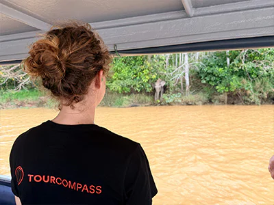 Jude van TourCompass kijkt naar olifanten aan de Kinabatang-rivier