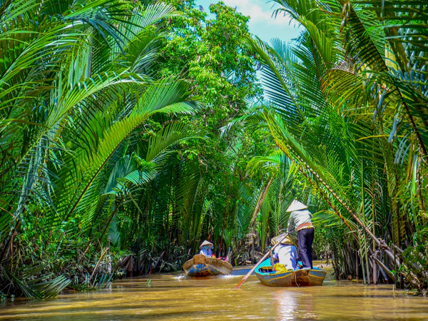 Peddelboten op de Mekongdelta in Vietnam