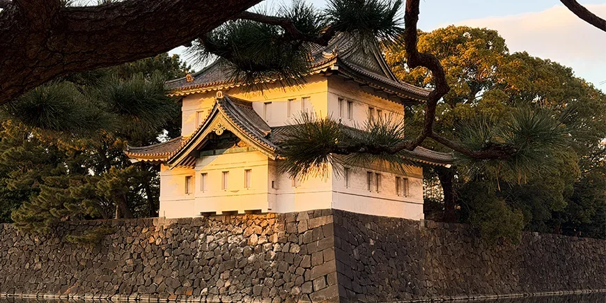 Keizerlijk Paleis van Tokio vanaf de zijkant