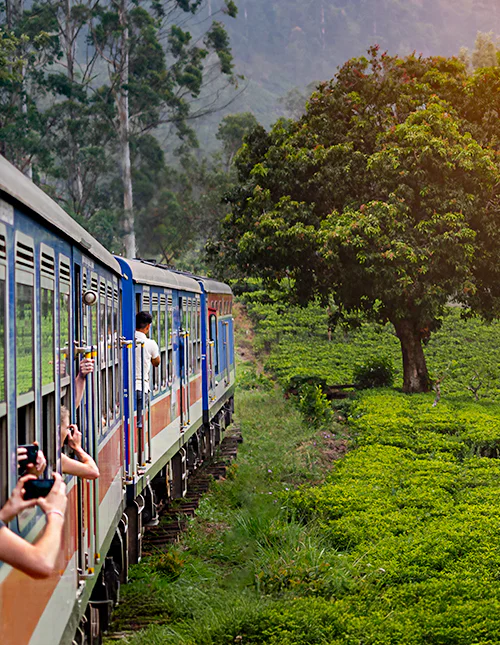 Treinreis van Nuwara Eliya naar Kandy door theeplantages in de hooglanden van Sri Lanka