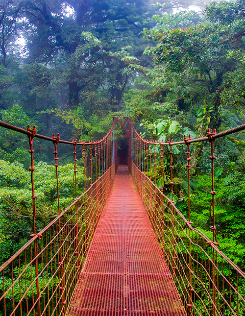 Hangbrug in het nevelwoud van Monteverde