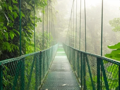 Hangbrug in Monteverde