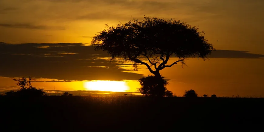 Zonsopkomst boven de Serengeti in Tanzania
