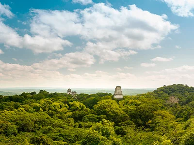 Overzicht van Nationaal park Tikal met ruïnes en regenwoud