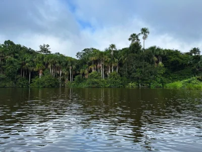 Uitzicht op het Amazone-regenwoud vanaf de rivier