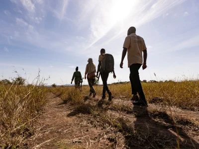Een groep mensen loopt over de savanne in Tanzania