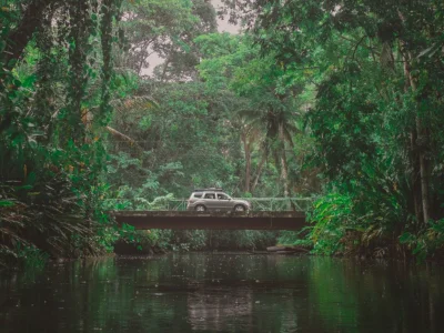 Auto die door de jungle van Costa Rica rijdt