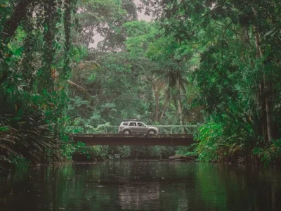 Auto die door de jungle van Costa Rica rijdt