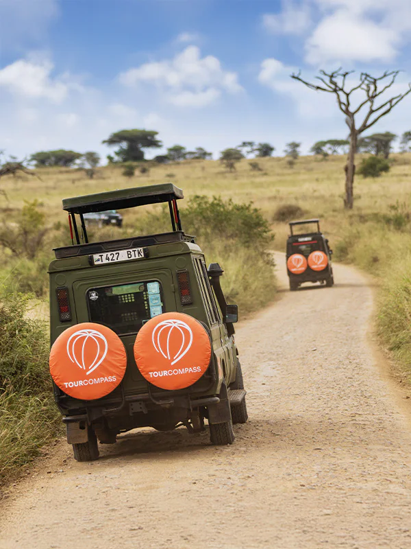 TourCompass-jeep op safarireis in Afrika