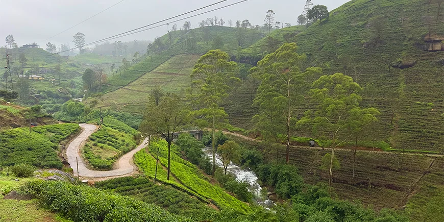 Het prachtige hoogland van Sri Lanka