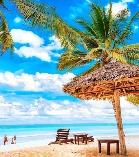Tropisch strand in Mombasa met palmbomen en turkooisblauw water