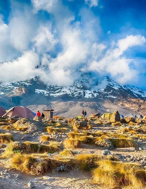 Tenten bij het basiskamp met de besneeuwde top van de Kilimanjaro op de achtergrond.